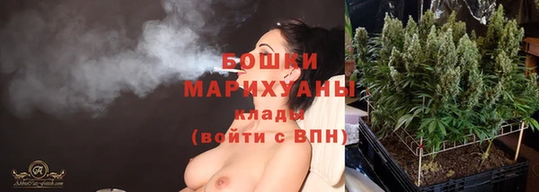 молекула духа Богородицк