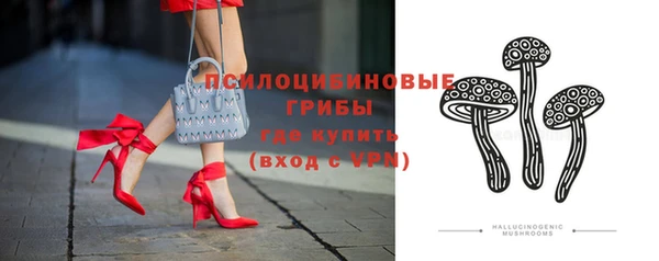 индика Белокуриха