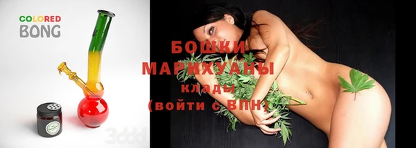 индика Белокуриха