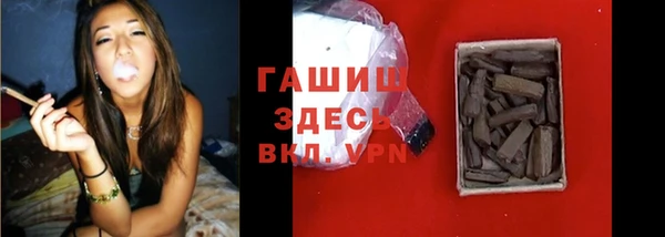молекула духа Богородицк