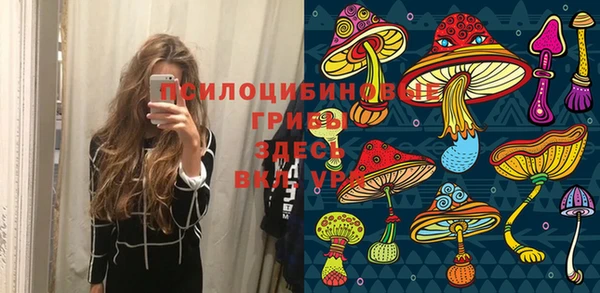 молекула духа Богородицк