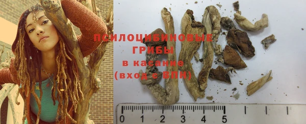 спиды Белоозёрский