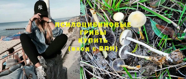 крисы Богданович