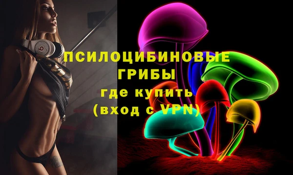 молекула духа Богородицк