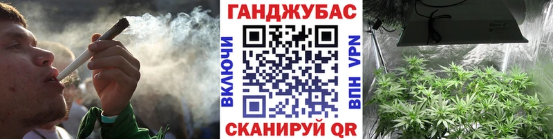 Конопля SATIVA & INDICA  Порхов 